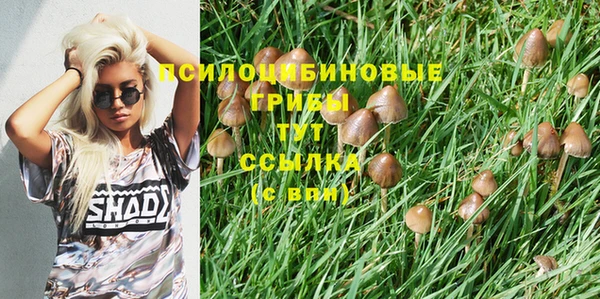 MESCALINE Кодинск